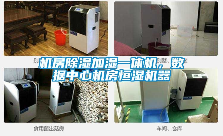 機(jī)房除濕加濕一體機(jī)<div   id=