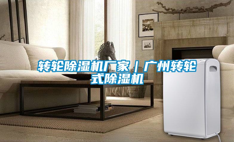 轉(zhuǎn)輪除濕機(jī)廠家|廣州轉(zhuǎn)輪式除濕機(jī)