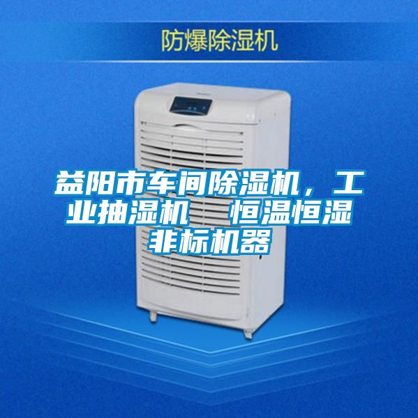 益陽(yáng)市車間除濕機(jī)<div   id=