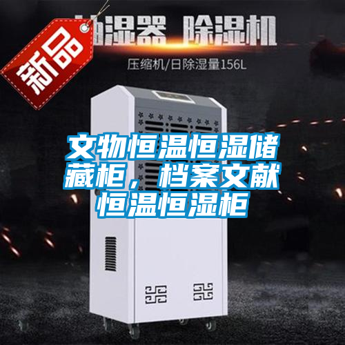 文物恒溫恒濕儲藏柜<div   id=