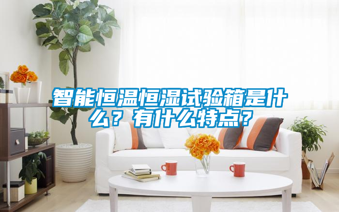 智能恒溫恒濕試驗箱是什么？有什么特點<div   id=
