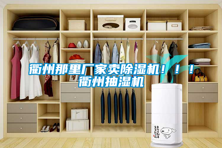 衢州那里廠家賣除濕機?div   id=