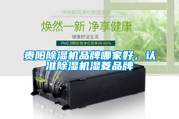 貴陽(yáng)除濕機(jī)品牌哪家好<div   id=