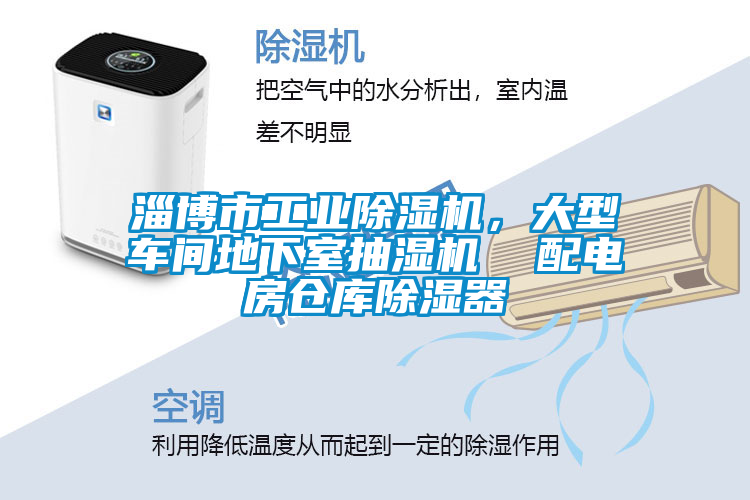 淄博市工業(yè)除濕機(jī)<div   id=
