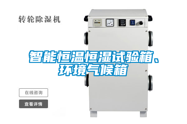 智能恒溫恒濕試驗箱<div   id=