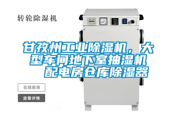甘孜州工業(yè)除濕機(jī)<div   id=
