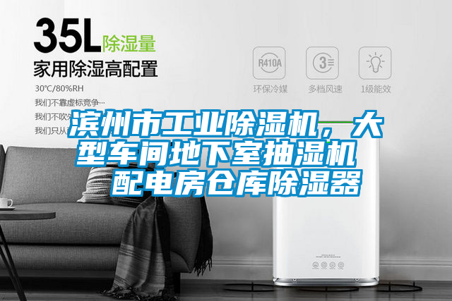 濱州市工業(yè)除濕機<div   id=