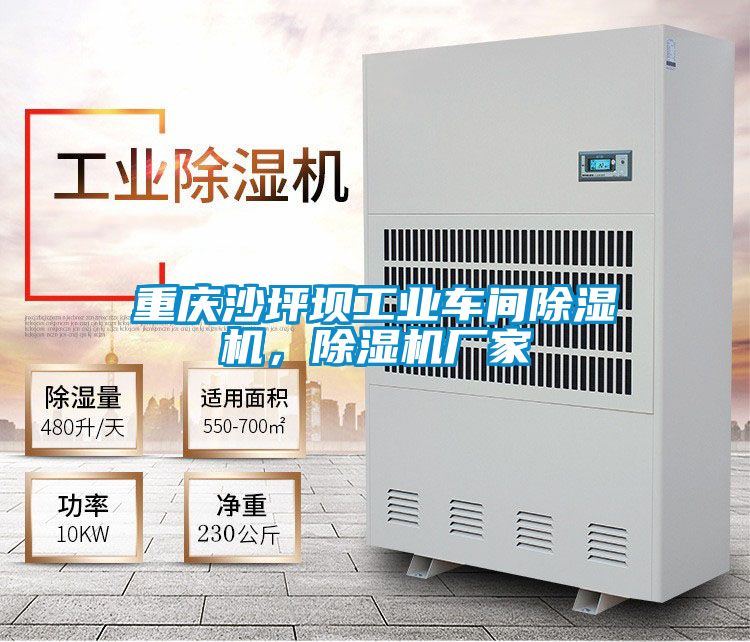 重慶沙坪壩工業(yè)車間除濕機(jī)<div   id=