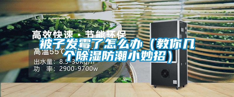 被子發(fā)霉了怎么辦(教你幾個除濕防潮小妙招)