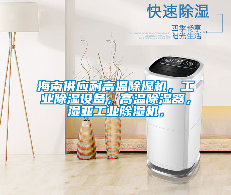 海南供應耐高溫除濕機，工業(yè)除濕設備<div   id=