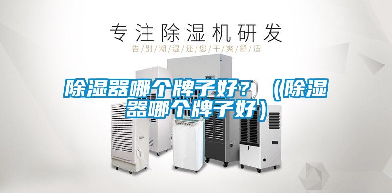 除濕器哪個(gè)牌子好<div   id=