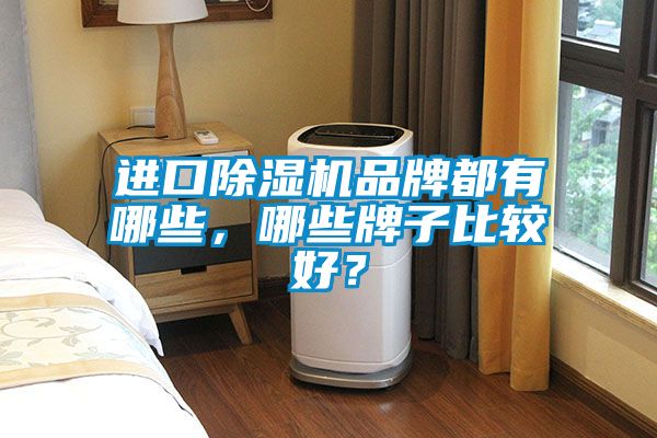 進(jìn)口除濕機(jī)品牌都有哪些，哪些牌子比較好<div   id=