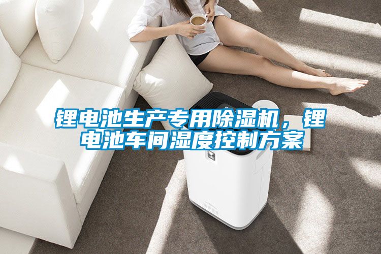 鋰電池生產(chǎn)專用除濕機<div   id=