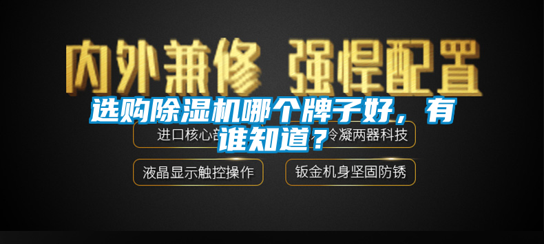 選購(gòu)除濕機(jī)哪個(gè)牌子好<div   id=