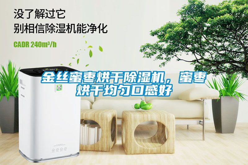金絲蜜棗烘干除濕機(jī)<div   id=