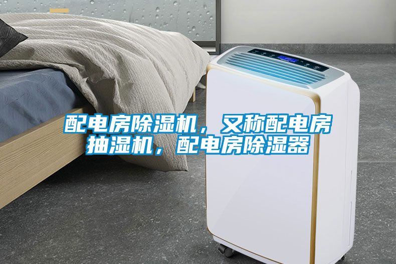 配電房除濕機(jī)，又稱配電房抽濕機(jī)<div   id=