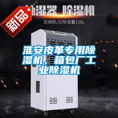 淮安皮革專用除濕機<div   id=