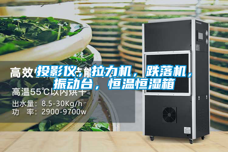 投影儀<div   id=
