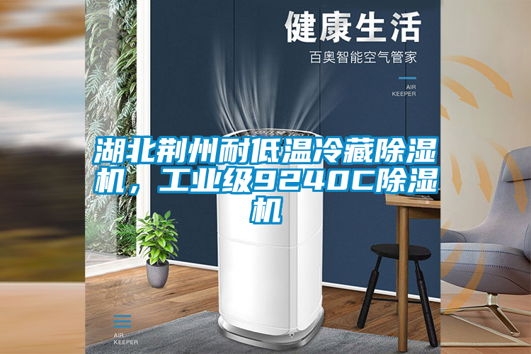 湖北荊州耐低溫冷藏除濕機(jī)<div   id=