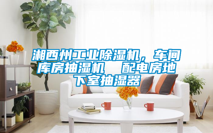 湘西州工業(yè)除濕機(jī)<div   id=