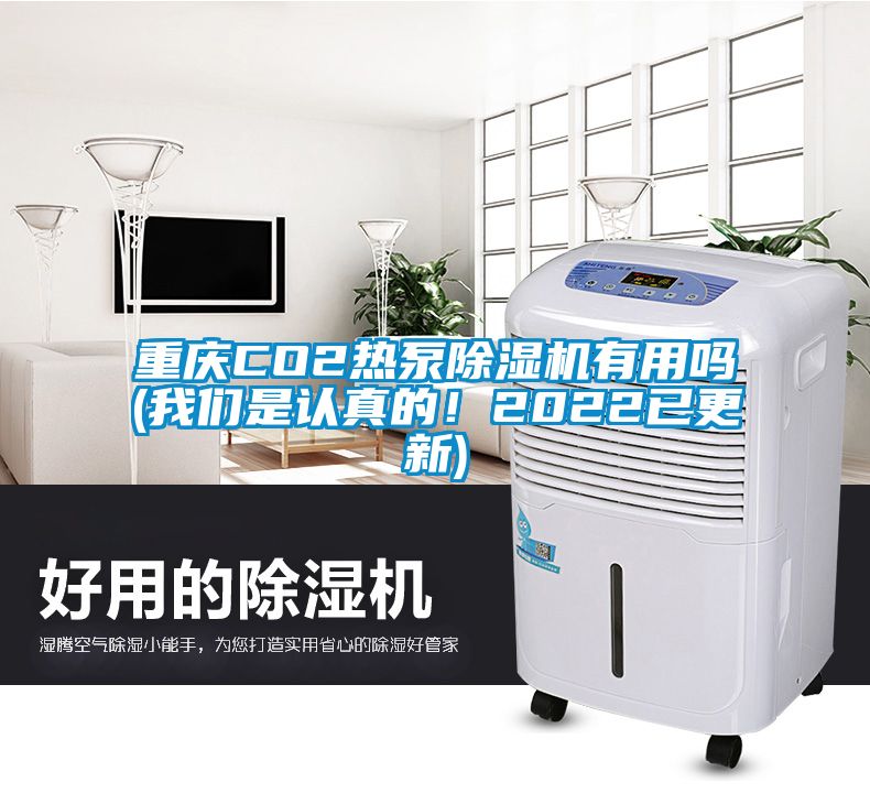 重慶CO2熱泵除濕機有用嗎(我們是認真的<div   id=