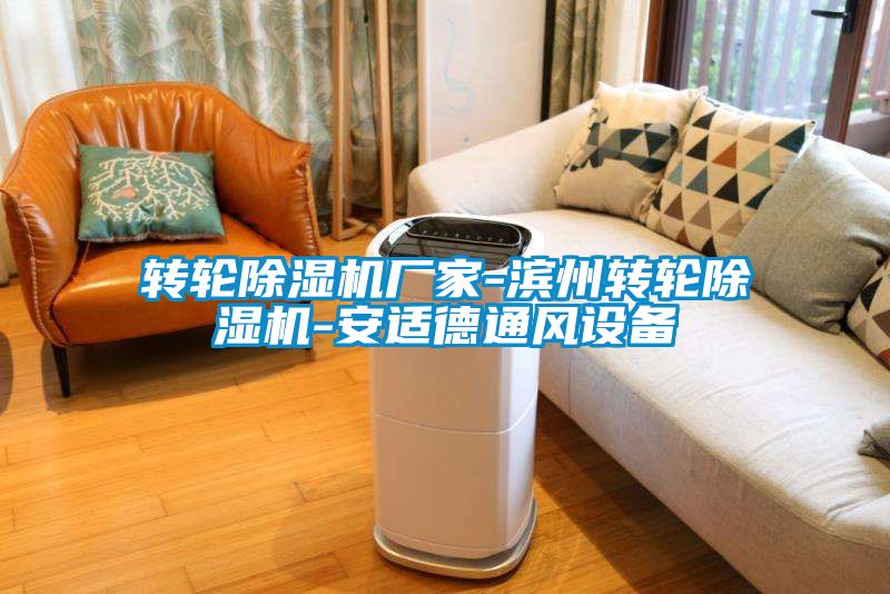 轉(zhuǎn)輪除濕機廠家-濱州轉(zhuǎn)輪除濕機-安適德通風設備