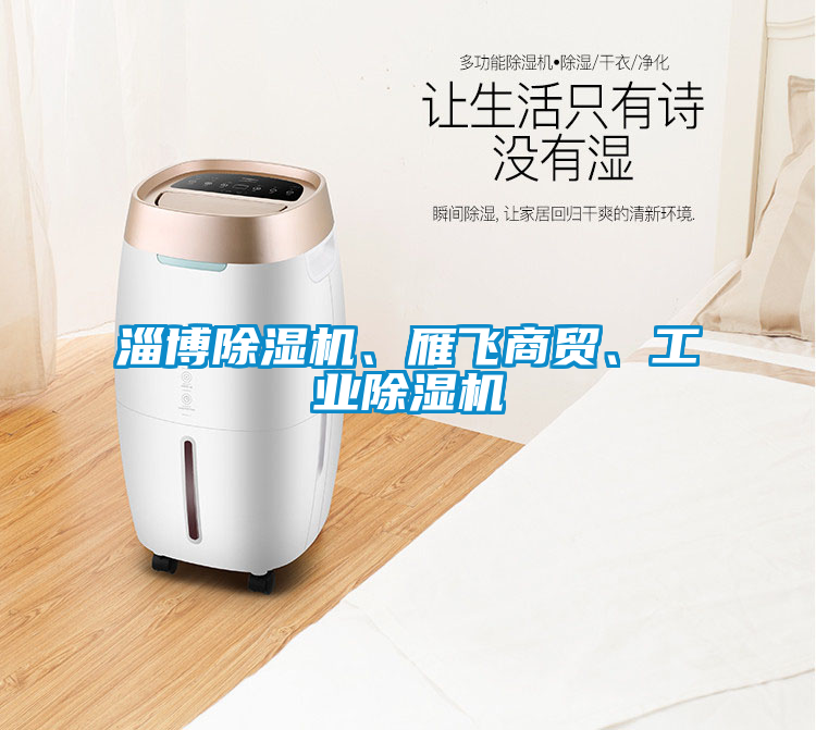 淄博除濕機、雁飛商貿(mào)<div   id=