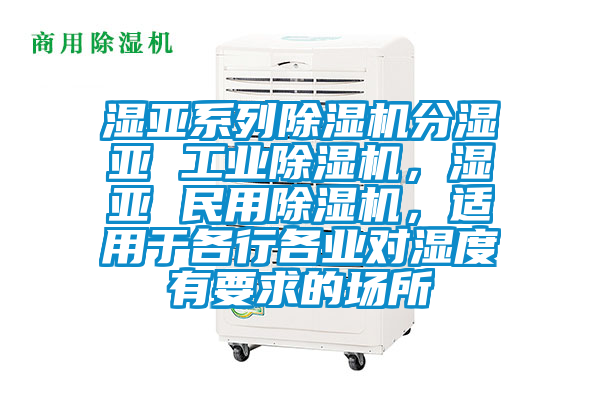濕亞系列除濕機(jī)分濕亞 工業(yè)除濕機(jī)，濕亞 民用除濕機(jī)<div   id=