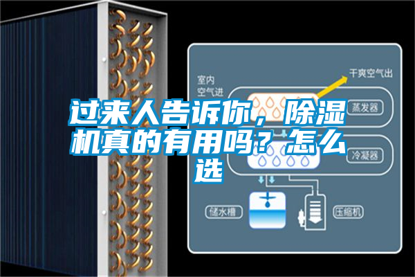 過來人告訴你<div   id=
