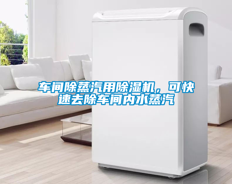 車間除蒸汽用除濕機<div   id=