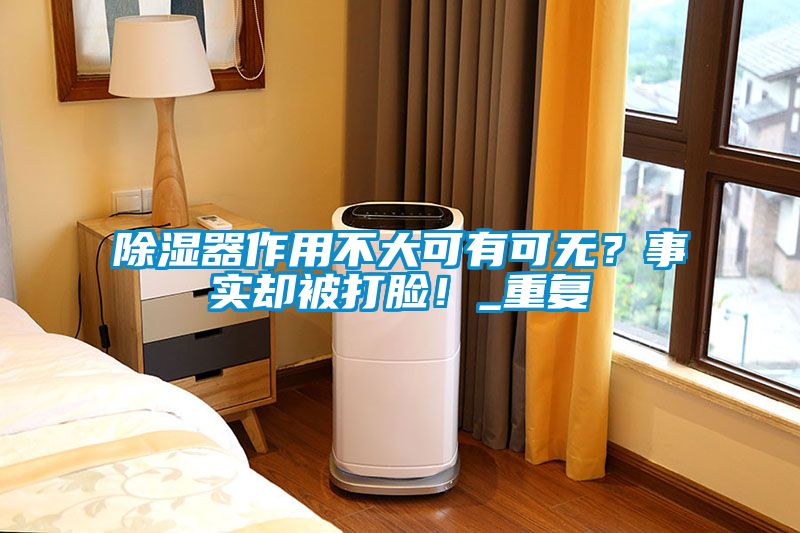 除濕器作用不大可有可無<div   id=