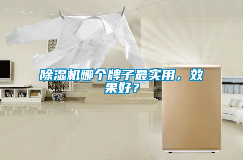 除濕機(jī)哪個(gè)牌子最實(shí)用<div   id=