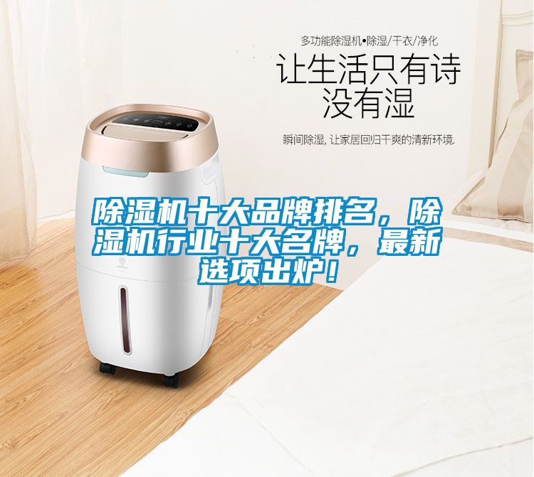 除濕機十大品牌排名，除濕機行業(yè)十大名牌<div   id=