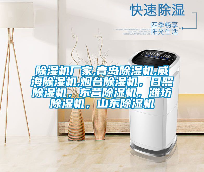 除濕機廠家,青島除濕機,威海除濕機,煙臺除濕機<div   id=