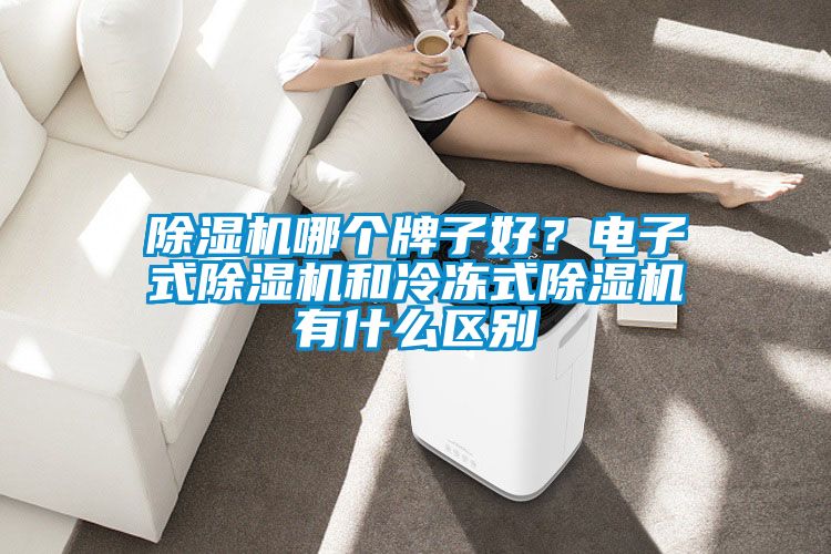 除濕機(jī)哪個牌子好<div   id=