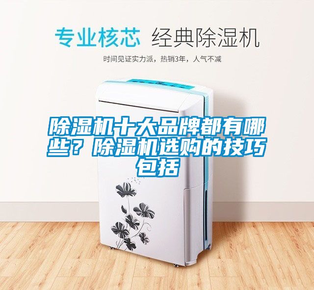 除濕機(jī)十大品牌都有哪些？除濕機(jī)選購的技巧包括