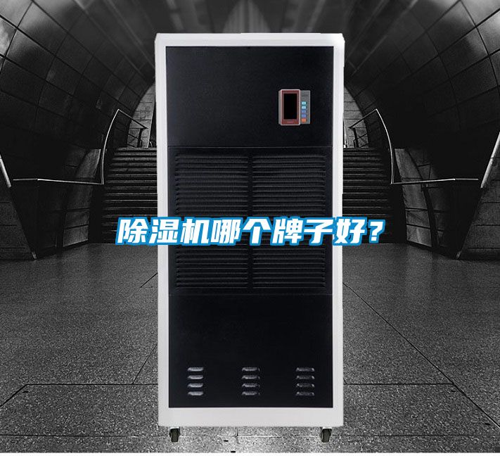 除濕機哪個牌子好<div   id=
