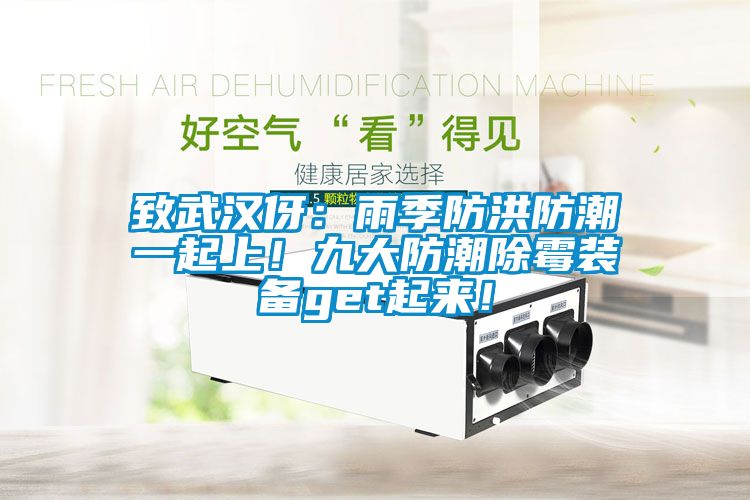 致武漢伢：雨季防洪防潮一起上<div   id=