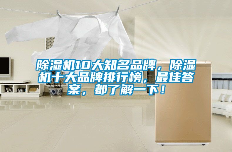 除濕機(jī)10大知名品牌<div   id=