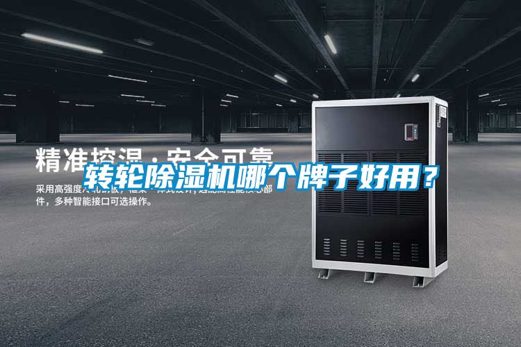 轉(zhuǎn)輪除濕機(jī)哪個(gè)牌子好用<div   id=