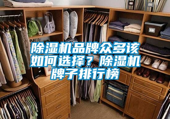 除濕機(jī)品牌眾多該如何選擇<div   id=