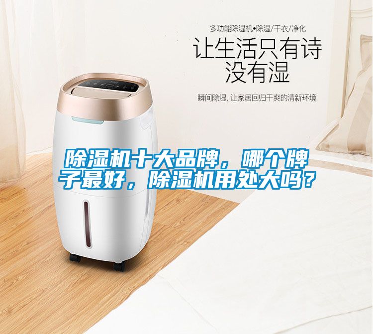 除濕機(jī)十大品牌<div   id=