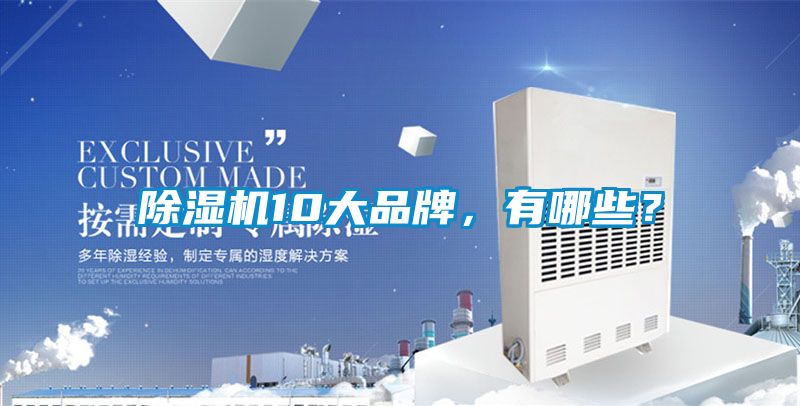除濕機10大品牌，有哪些<div   id=