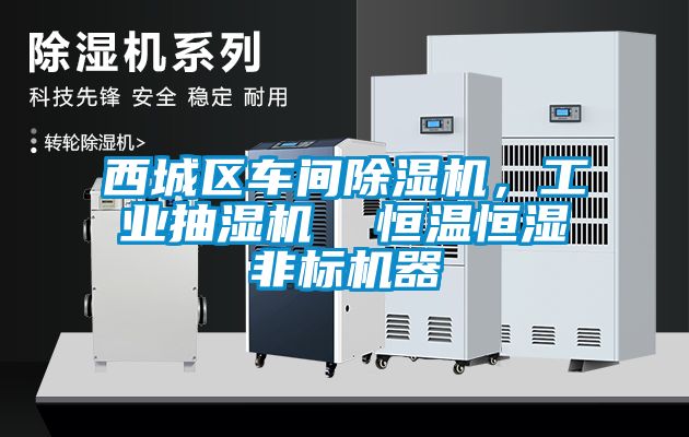 西城區(qū)車間除濕機<div   id=