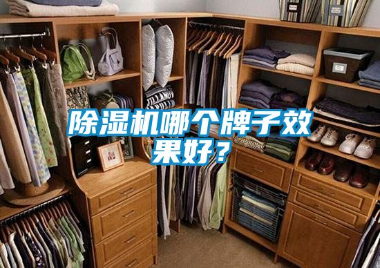 除濕機(jī)哪個牌子效果好<div   id=