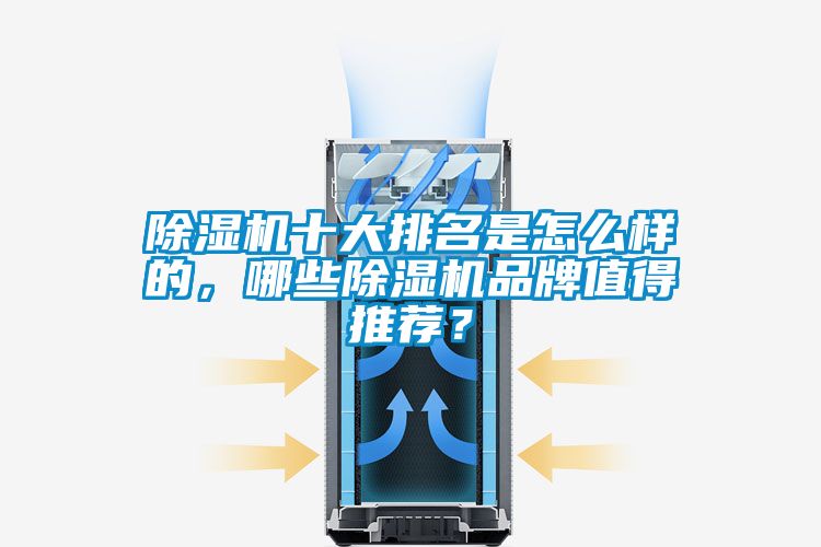 除濕機(jī)十大排名是怎么樣的，哪些除濕機(jī)品牌值得推薦<div   id=