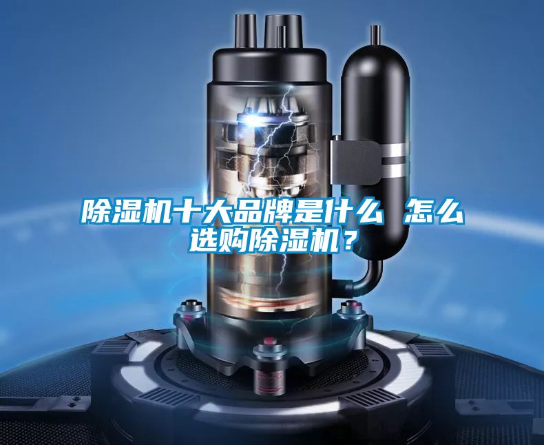 除濕機(jī)十大品牌是什么 怎么選購除濕機(jī)<div   id=