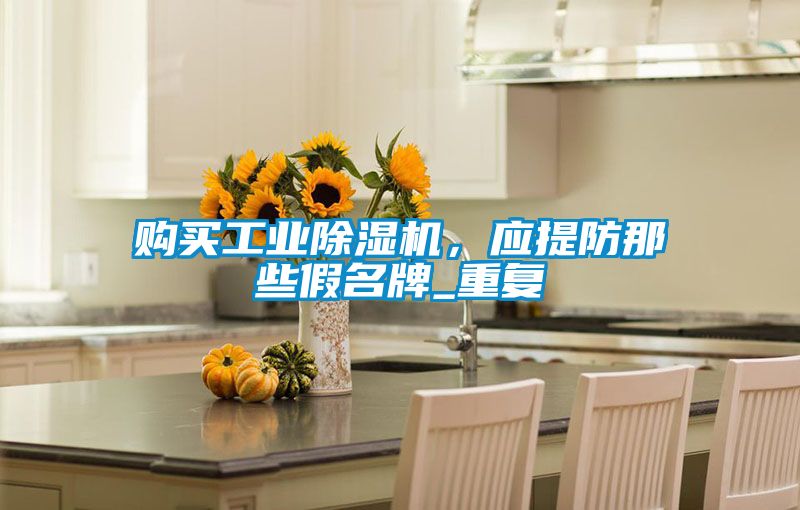 購(gòu)買工業(yè)除濕機(jī)<div   id=