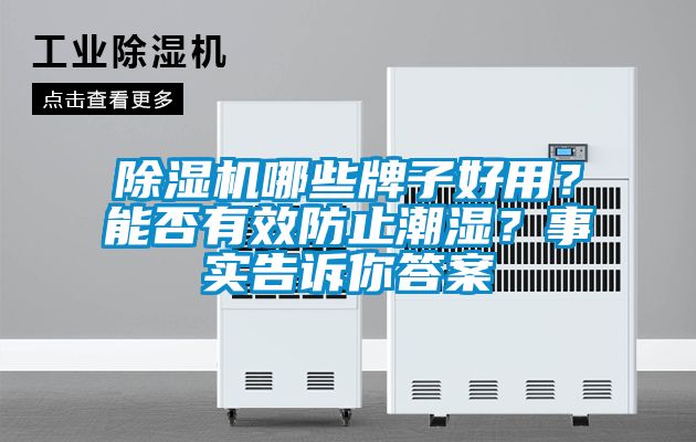 除濕機(jī)哪些牌子好用<div   id=