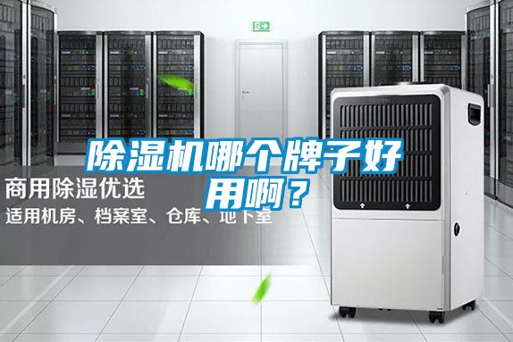 除濕機哪個牌子好 用?div   id=